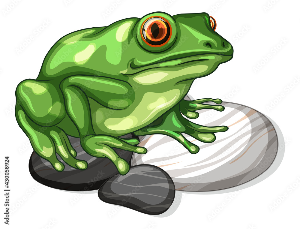 一只青蛙在孤立的石头叶子上的特写