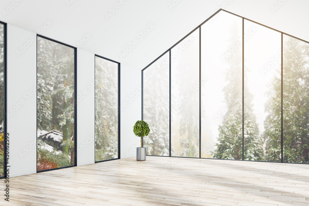 在阳光充足的空房间里，从大窗户可以看到舒适的森林景观，角落里有树，镶木地板和白色墙壁