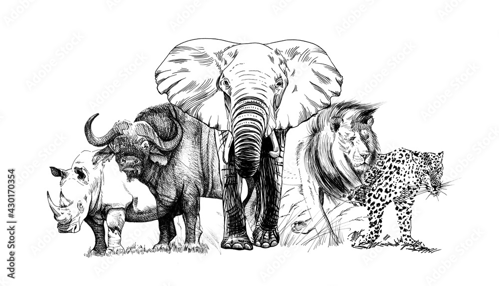 非洲五大动物。手绘插图