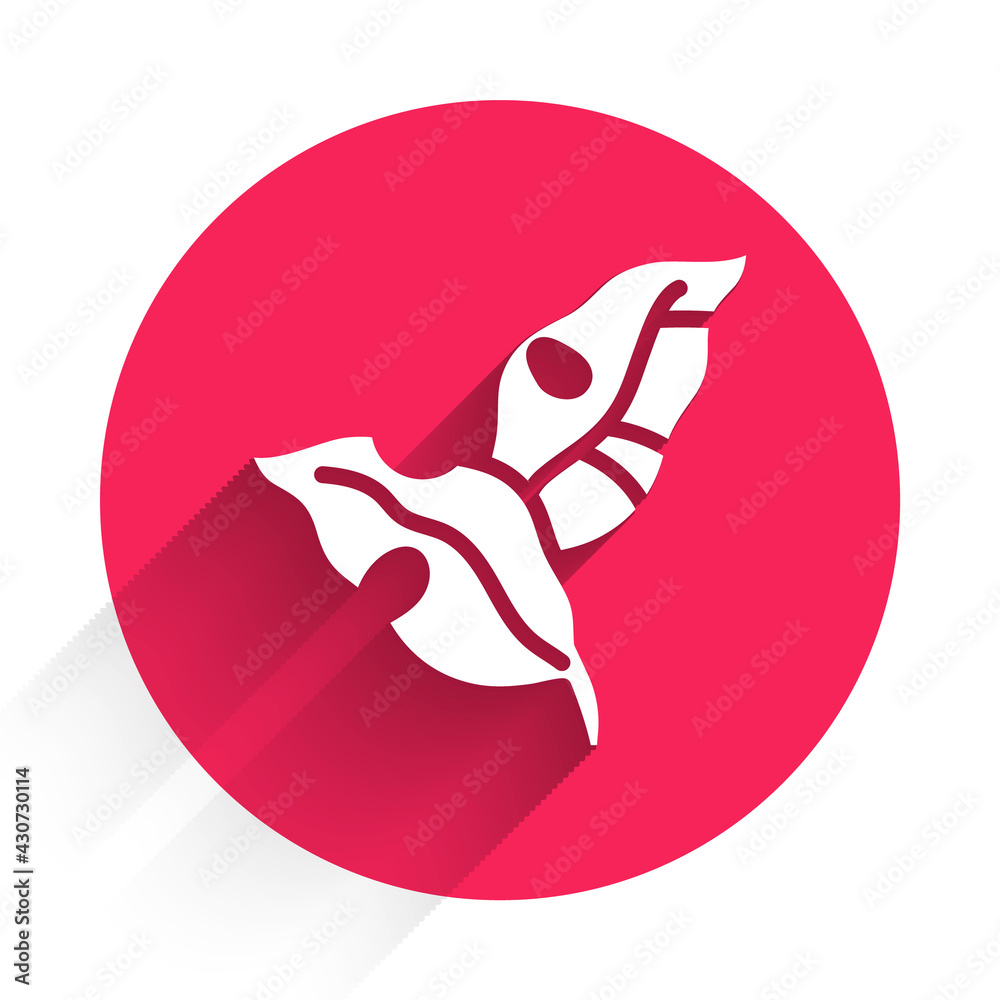 White Tropical leaves of palm tree icon isolated with long shadow. Red circle button. Vector