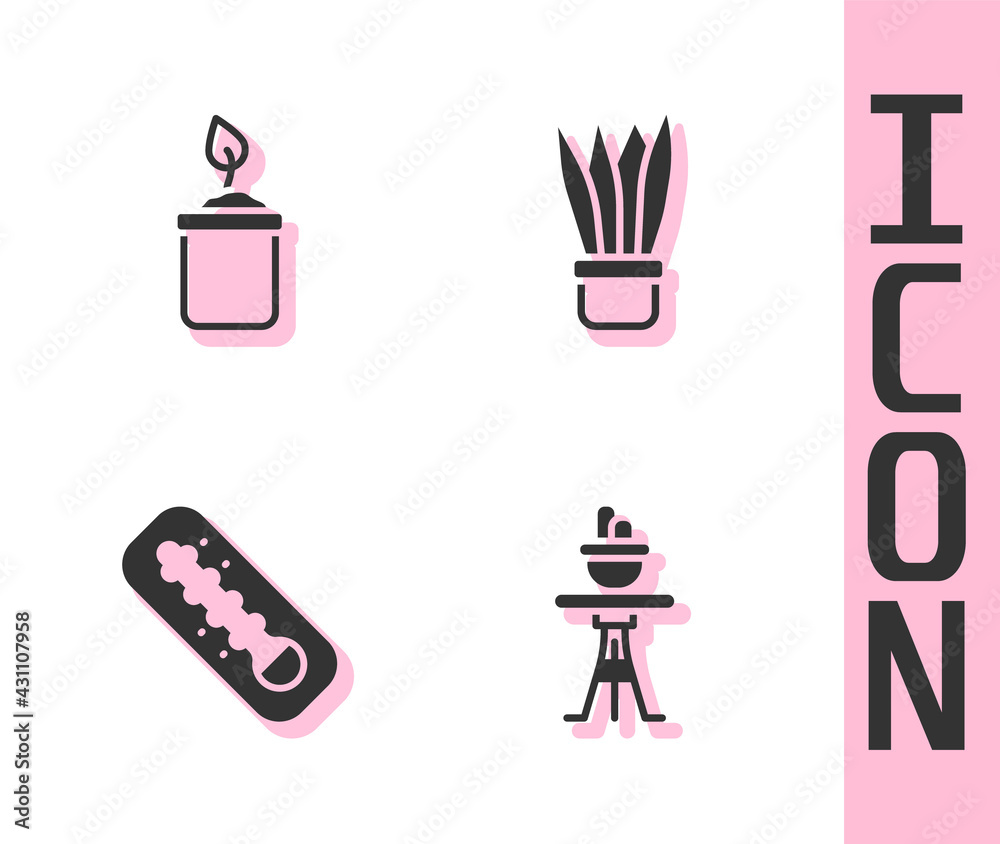 Set Plant in pot on table, Sprout bottle, Meteorology thermometer and icon. Vector