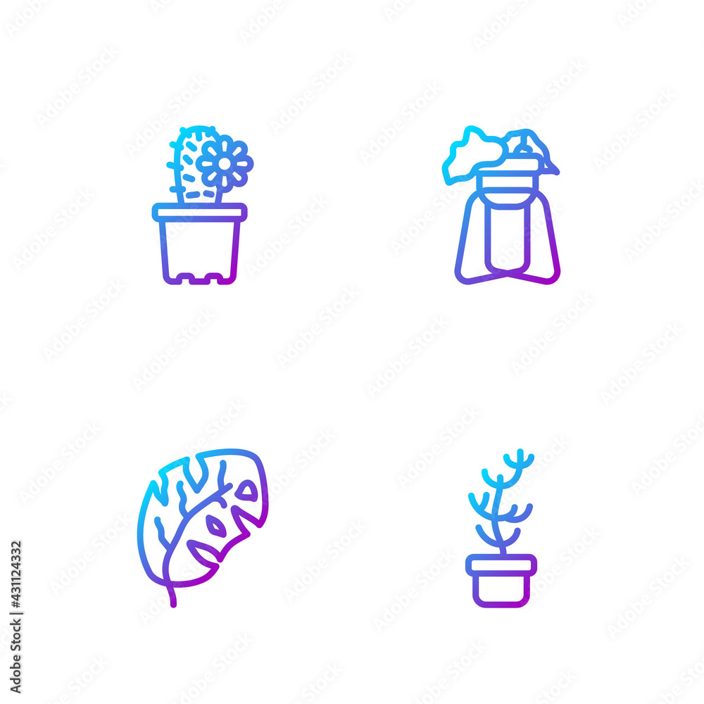 Set line Exotic tropical plant in pot, Tropical leaves, Cactus peyote and Plant on stand. Gradient c