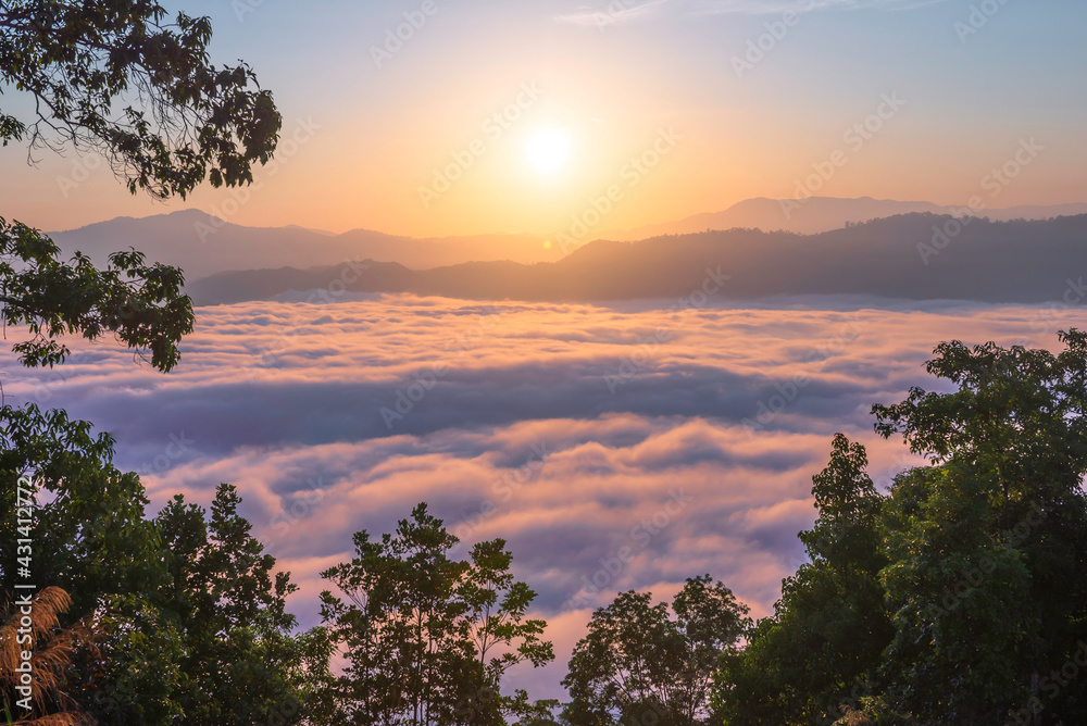 泰国南部亚拉省的空中漫步整个乳白色的道路美丽的晨雾，适合
