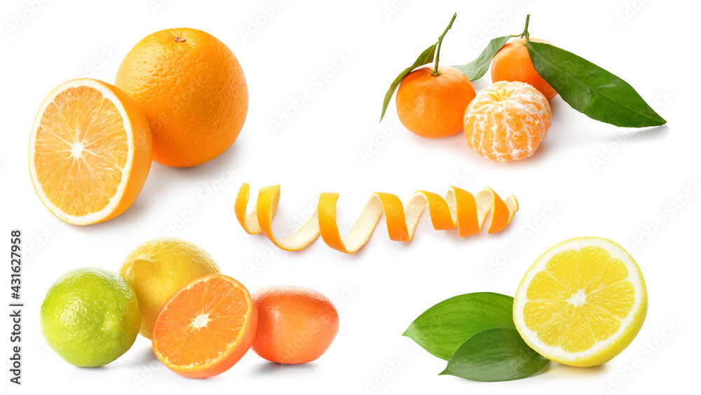 白底柑橘类水果套装