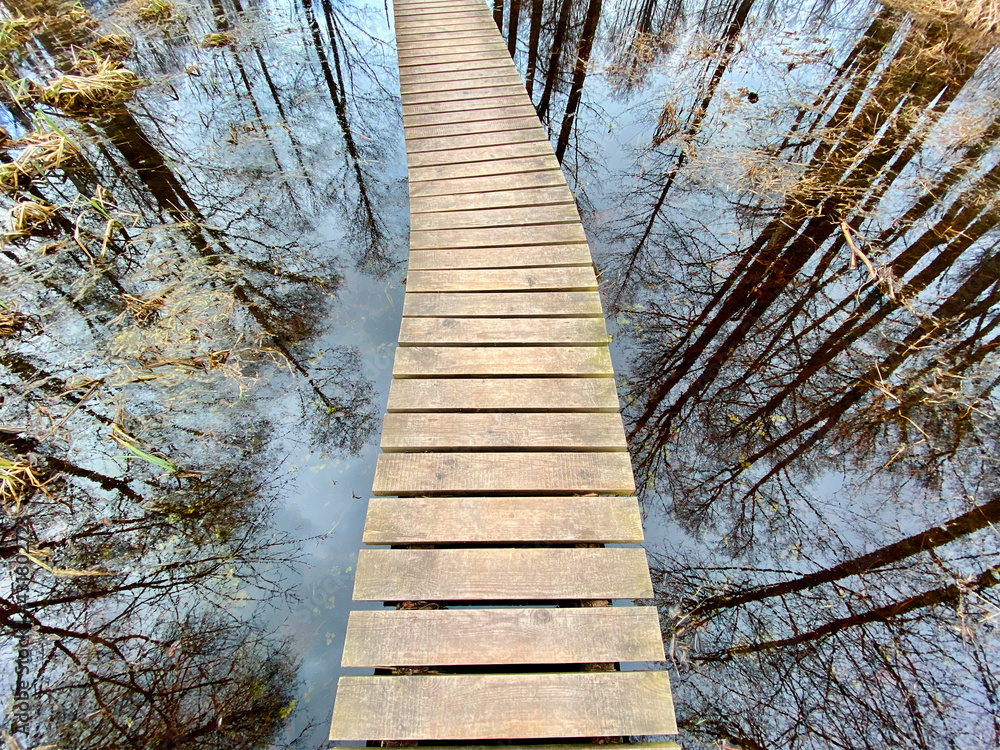 wooden footbridge through the lake nature trail