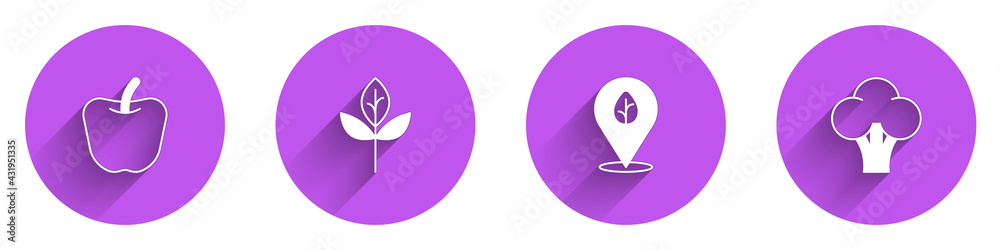 Set Apple, Leaf or leaves, Vegan food diet and Broccoli icon with long shadow. Vector