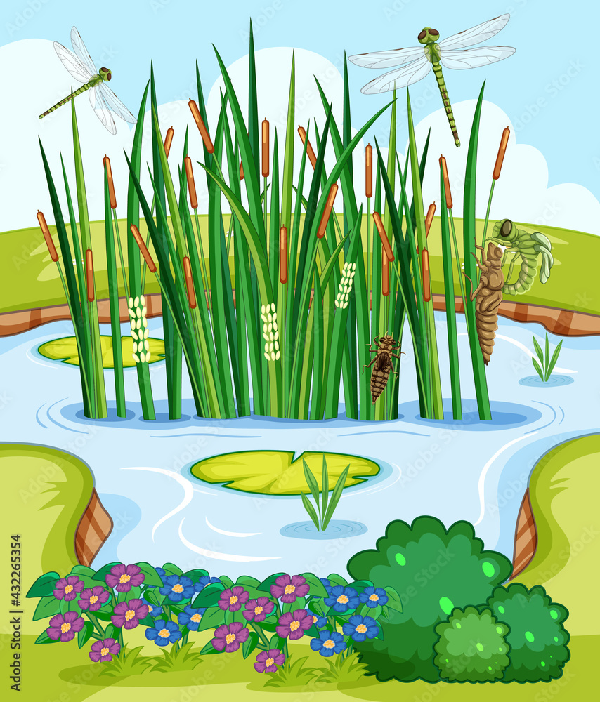 Nature scene with pond and dragonflies