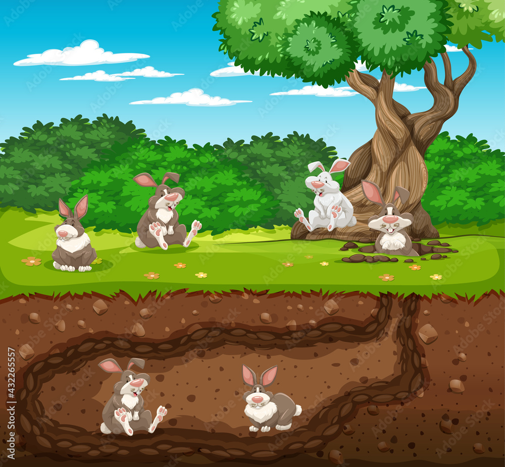 兔子家族的地下动物洞穴