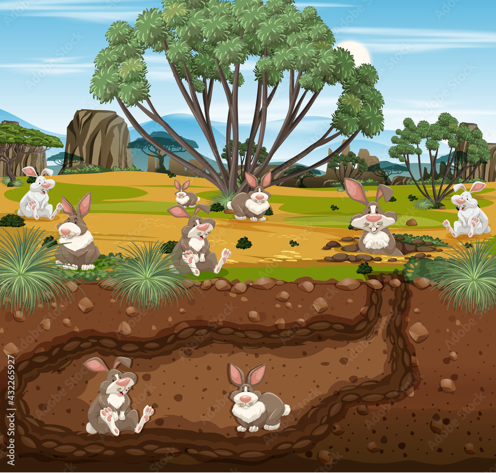 兔子家族的地下动物洞穴