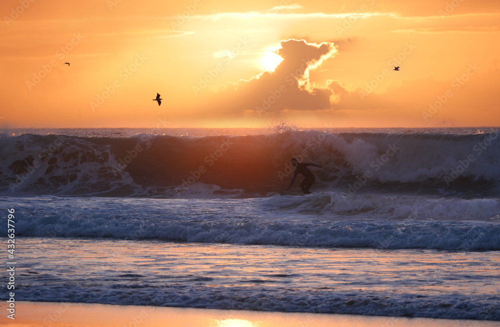 SILHOUETTE: Surfer riding waves with surfboard at golden sunset in the summer.