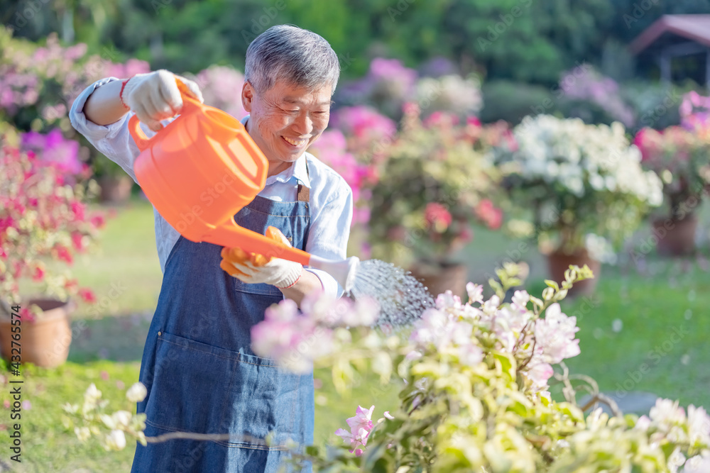 senior man watering the garden