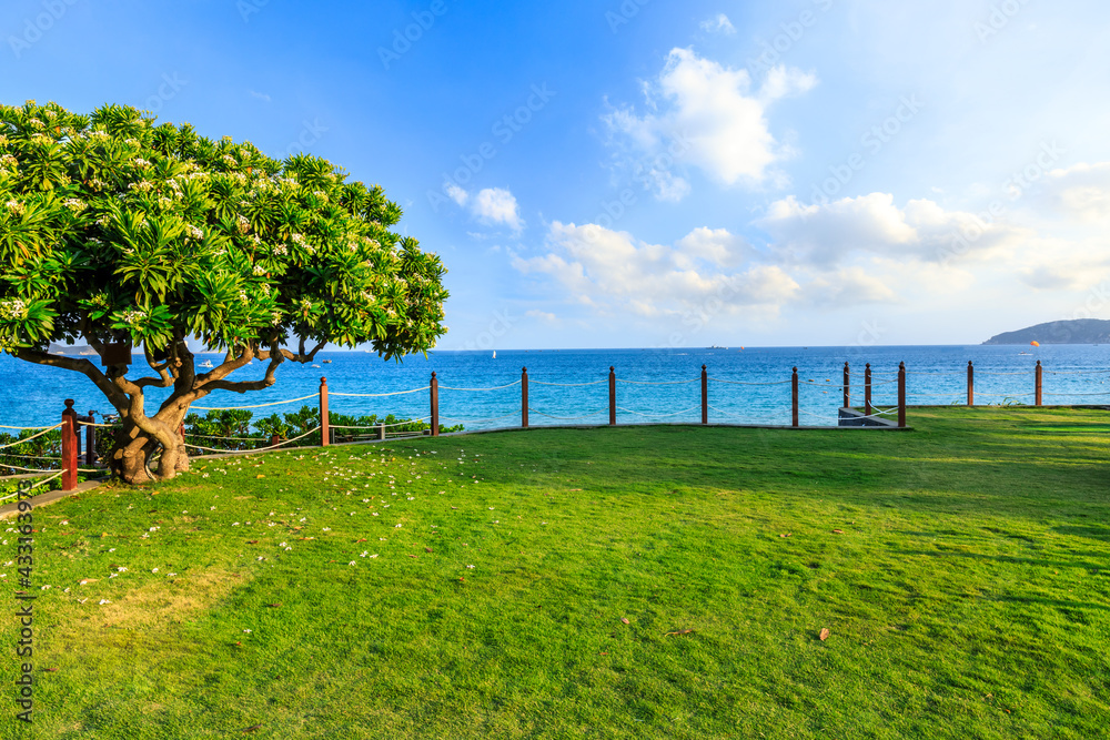 Green tree and grass by the blue sea.