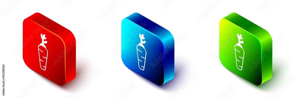 Isometric Carrot icon isolated Isometric background. Red, blue and green square button. Vector