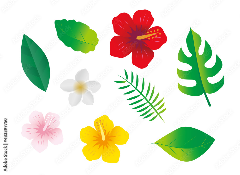 南国　亜熱帯植物