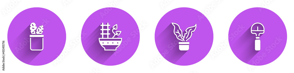 Set Cactus peyote in pot, Plant, and Shovel icon with long shadow. Vector