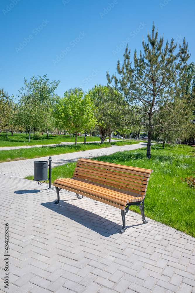 wooden bench in the park spring nature
