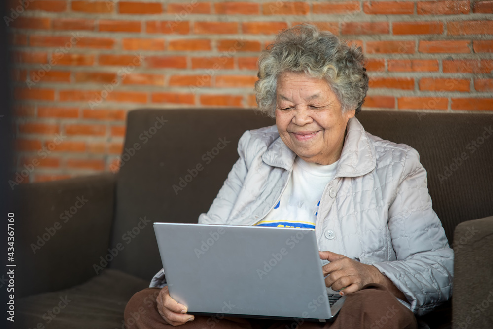 快乐的老年女性坐在家里的沙发上，用电脑笔记本电脑打发空闲时间。