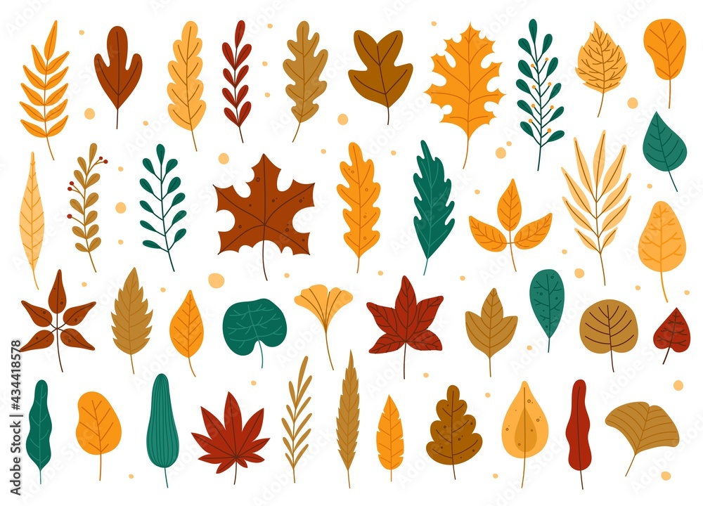 Autumn leaves. Oak, maple, elm dry fallen leaf. Hand drawn fall forest yellow or red foliage. Dried 