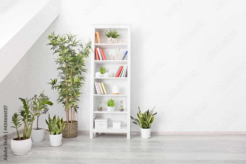 带书籍和室内植物的书架单元，位于灯光室内部