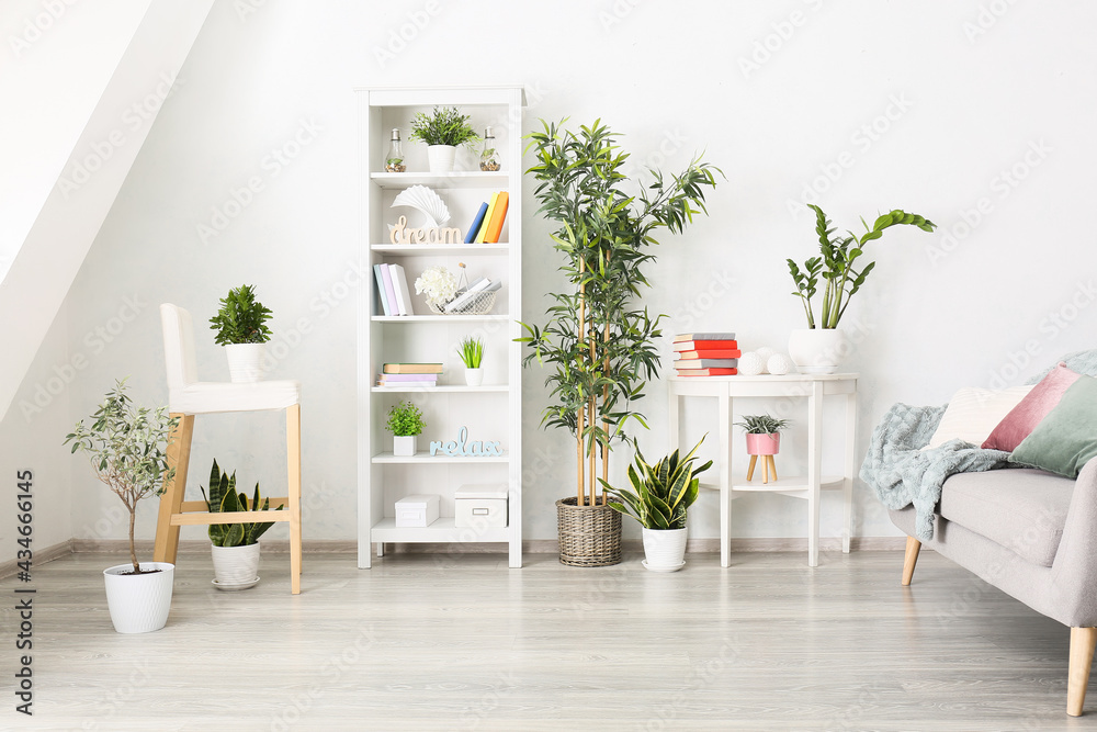 Shelf unit with books, houseplants and sofa in interior of light room