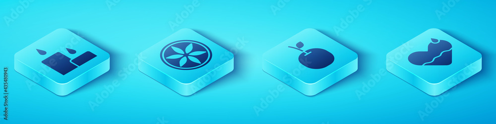 Set Isometric Burning candle, Leaf plant nature, Heart heal and Apple icon. Vector