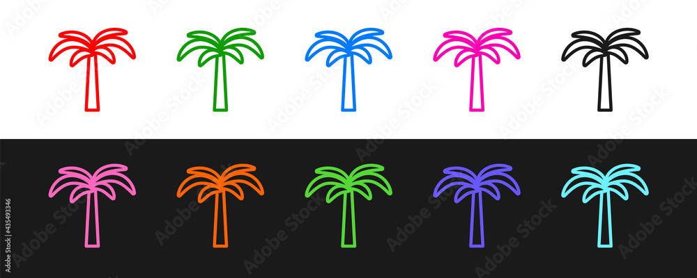 在黑白背景上隔离热带棕榈树图标。椰子棕榈树。矢量