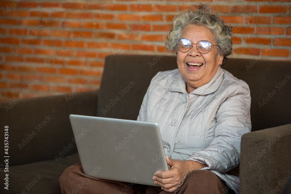 Portrait of aged female watching zoom video meeting online,Happy middle aged senior woman sitting on