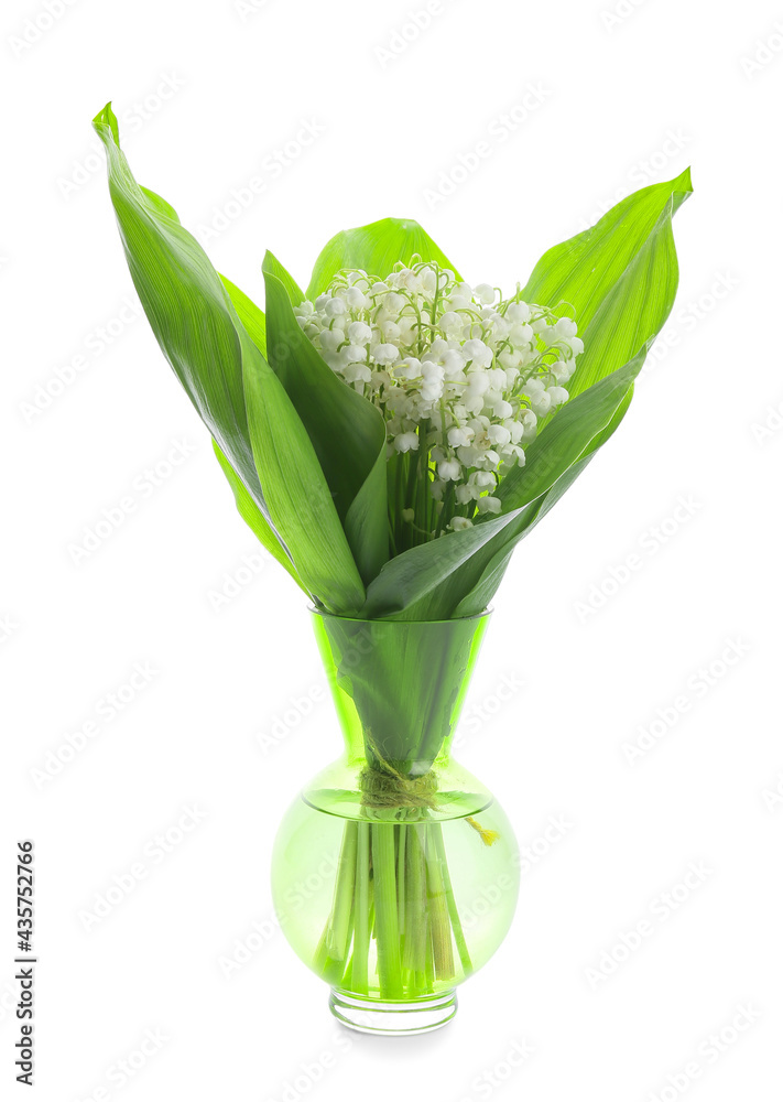 白色背景上有美丽的铃兰花的花瓶