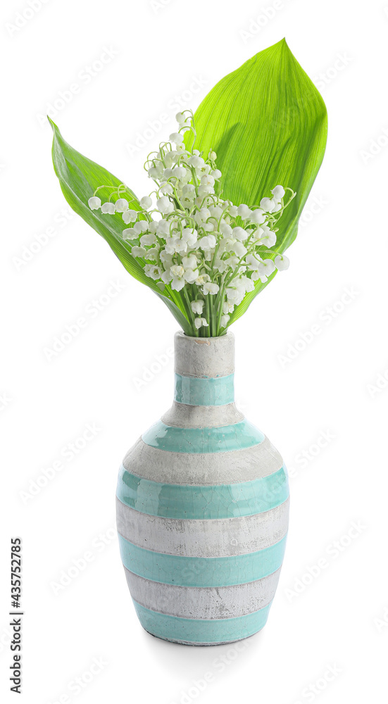 白色背景上有美丽的铃兰花的花瓶
