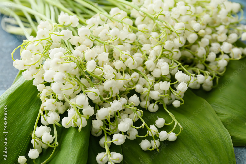 Beautiful lily-of-the-valley flowers on color background, closeup