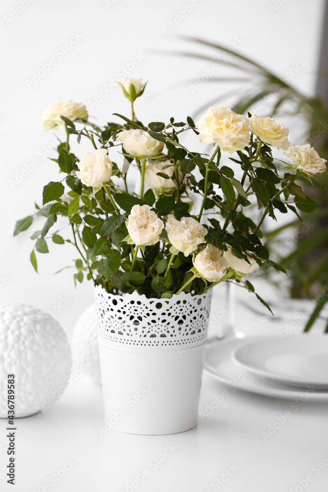 餐桌上的花盆里有美丽的白玫瑰