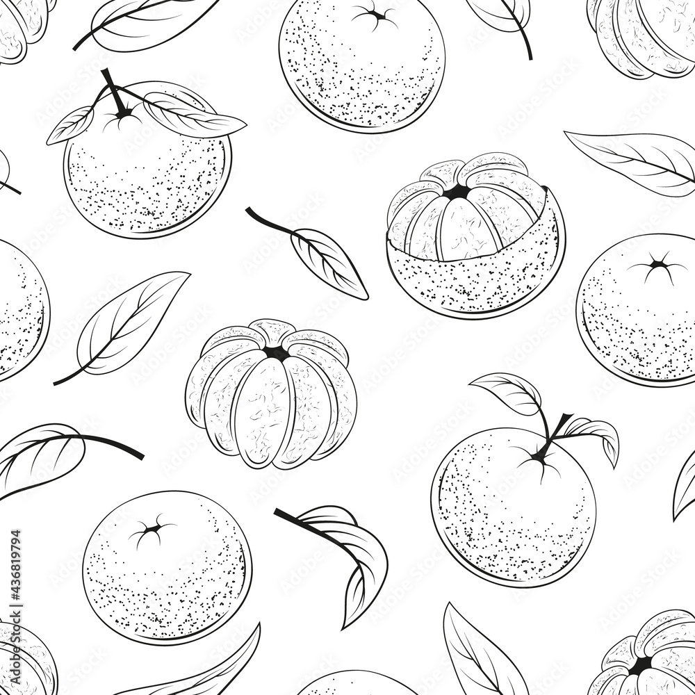 多汁柑橘的无缝图案。矢量插图。单色。黑白水果。手工制作