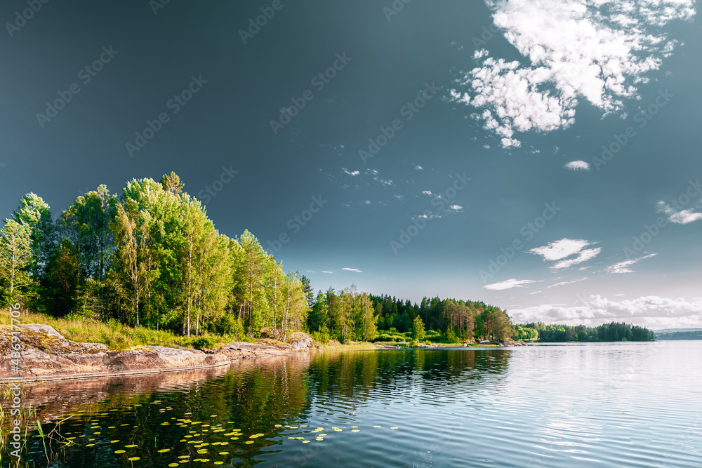 瑞典自然。瑞典。美丽夏日阳光明媚的夏日湖泊或河流。石头上生长的森林