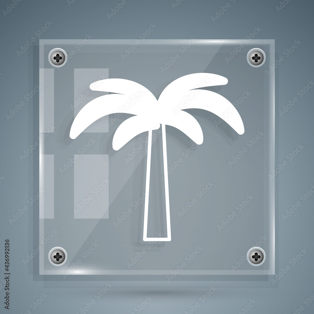 白色热带棕榈树图标，灰色背景。椰子树。方形玻璃面板。V