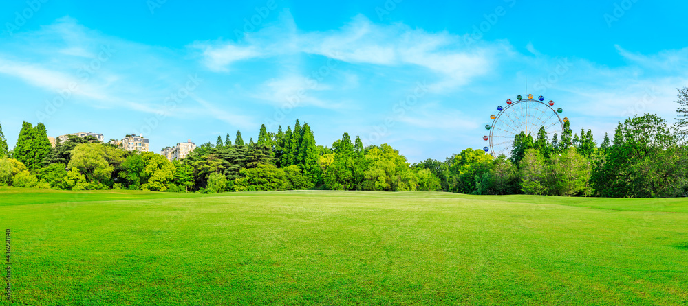 城市公园里的绿色森林和绿草如茵的摩天轮。