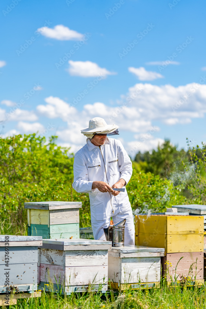 Beekeeper in protection suit working with bees. Handsome beekeeper working with wooden beehives.
