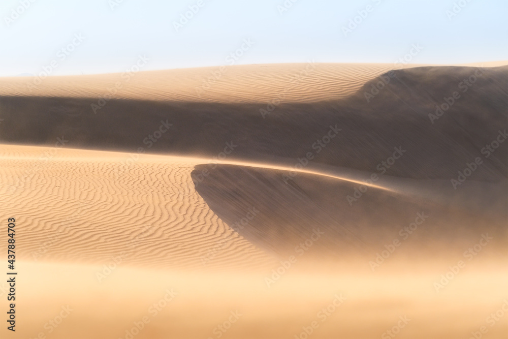 日落时的沙丘和强风。沙漠中的夏季景观。炎热的天气。排队