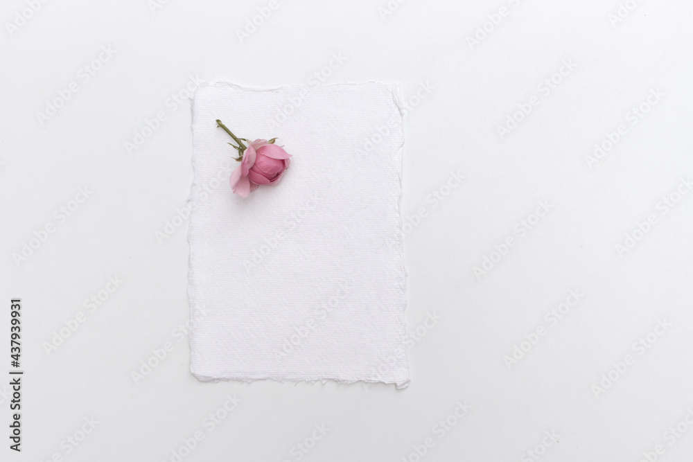 女性婚礼静物构图。空白纸卡和粉色玫瑰的模拟场景。平躺