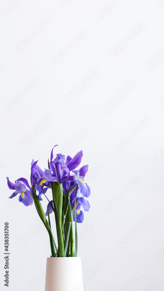 白色花瓶手机壁纸中的紫色虹膜特写