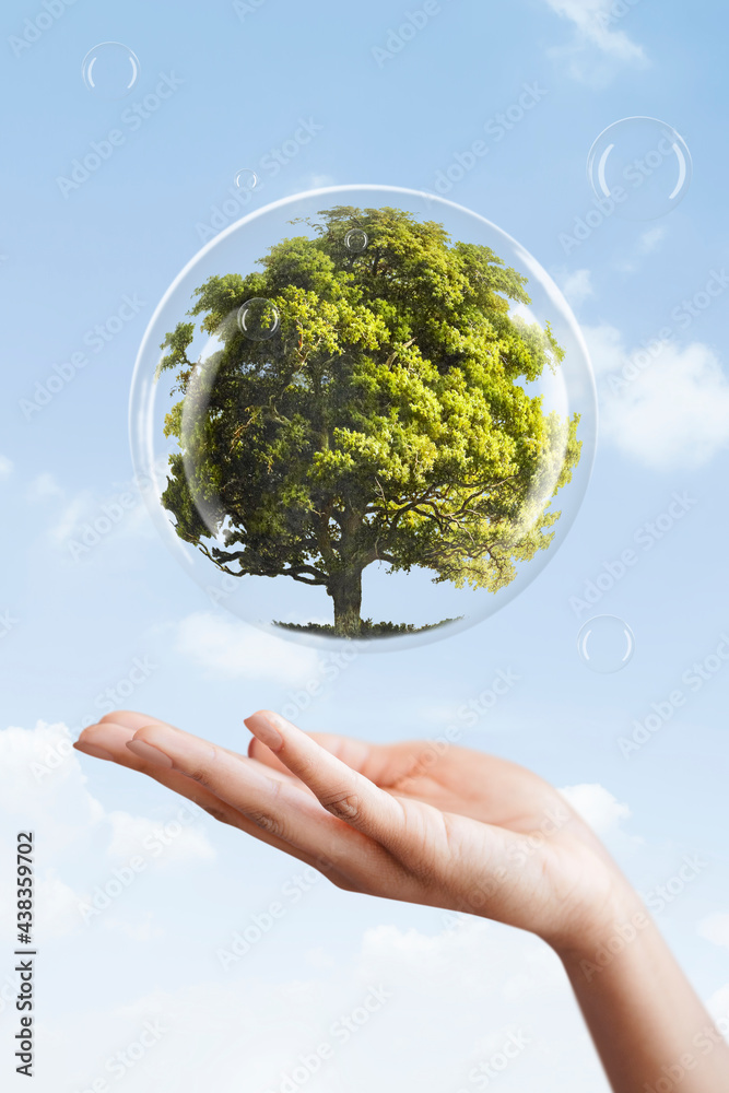 地球日活动在泡沫媒体组合中展示树木