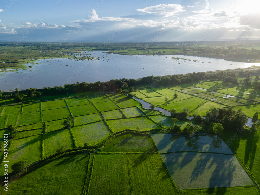 Aerial view of agricultural fields near the reservoir at Ban Rat Samakkhi in nongkhai, thailand.