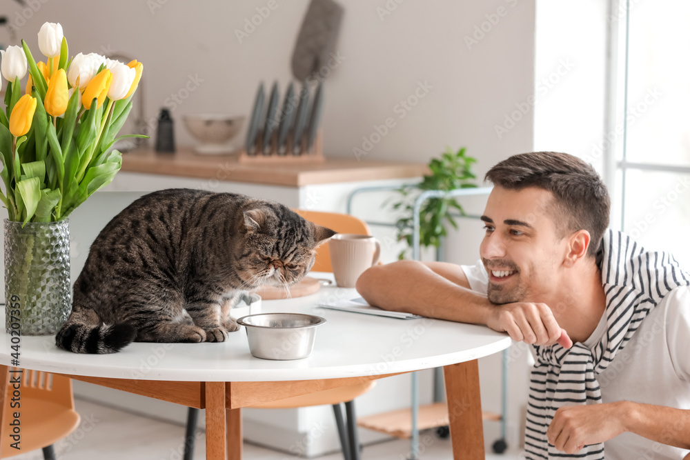 厨房里有食物的碗附近有一个年轻人和一只可爱的猫
