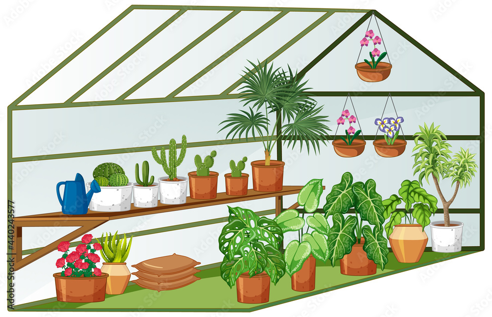 温室内有许多植物的开放式视图