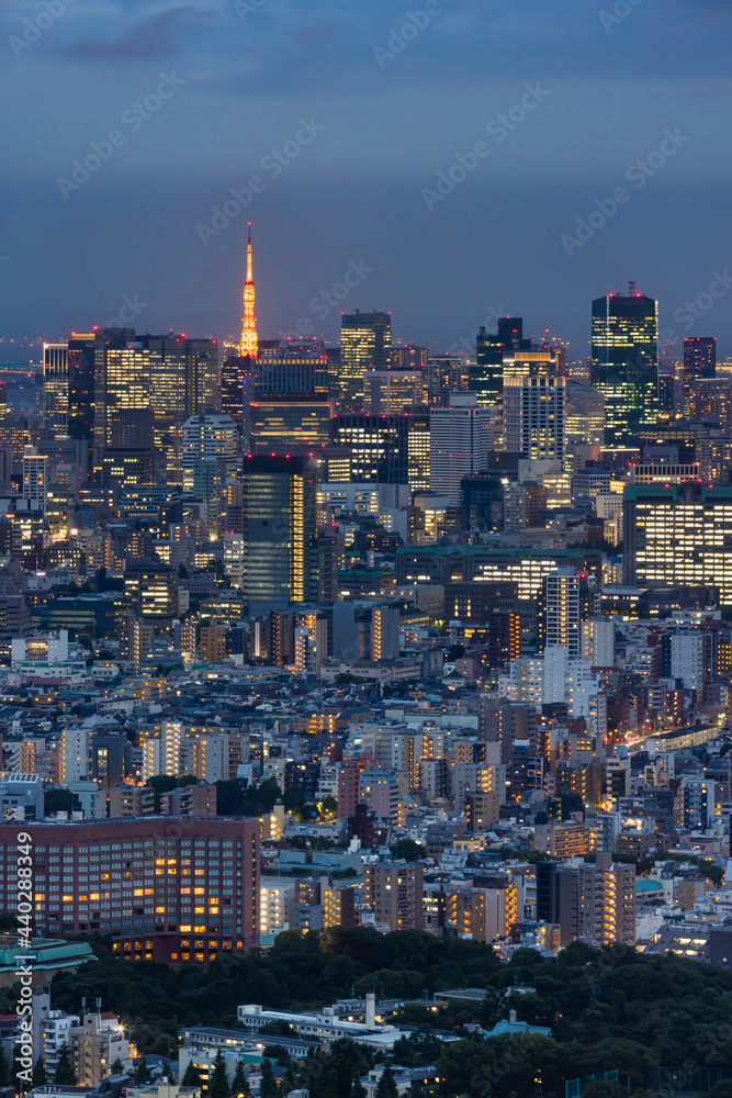 高層ビルの明かりがつき始めた夜の東京の街並み