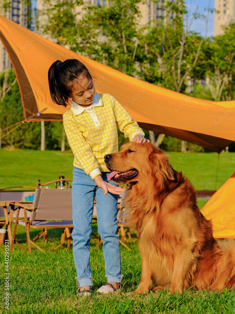 公园里快乐的小女孩和宠物狗