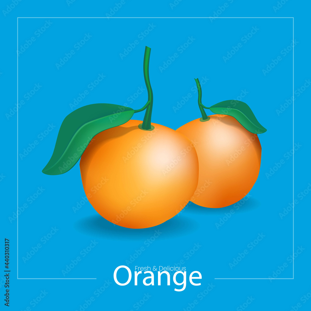 Orange vector design, Fruit vector 