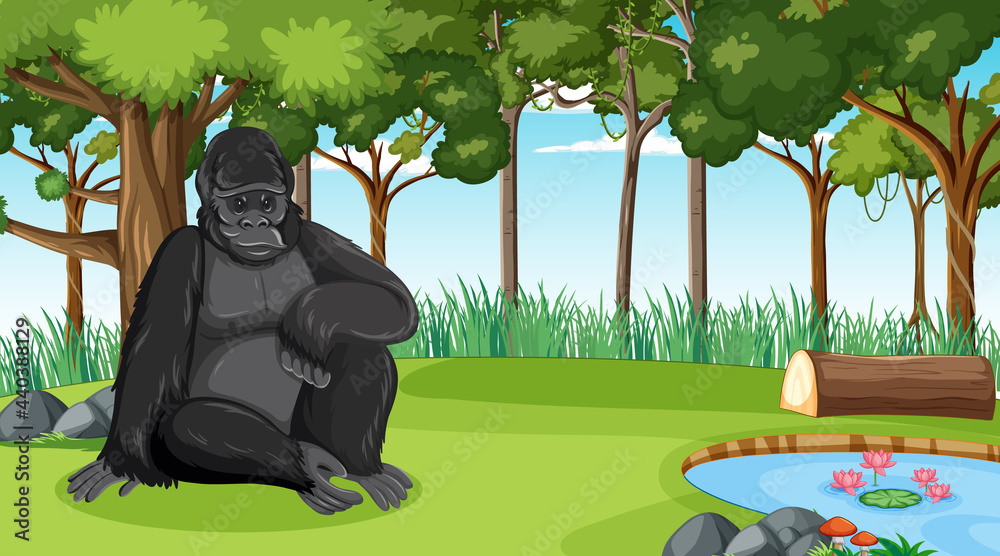 大猩猩在森林或热带雨林中，有很多树