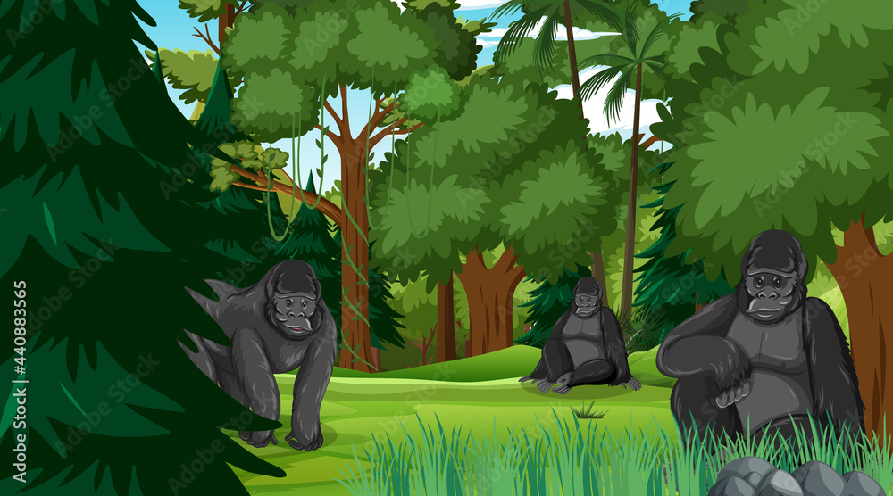 森林或热带雨林中有许多树木的大猩猩家族