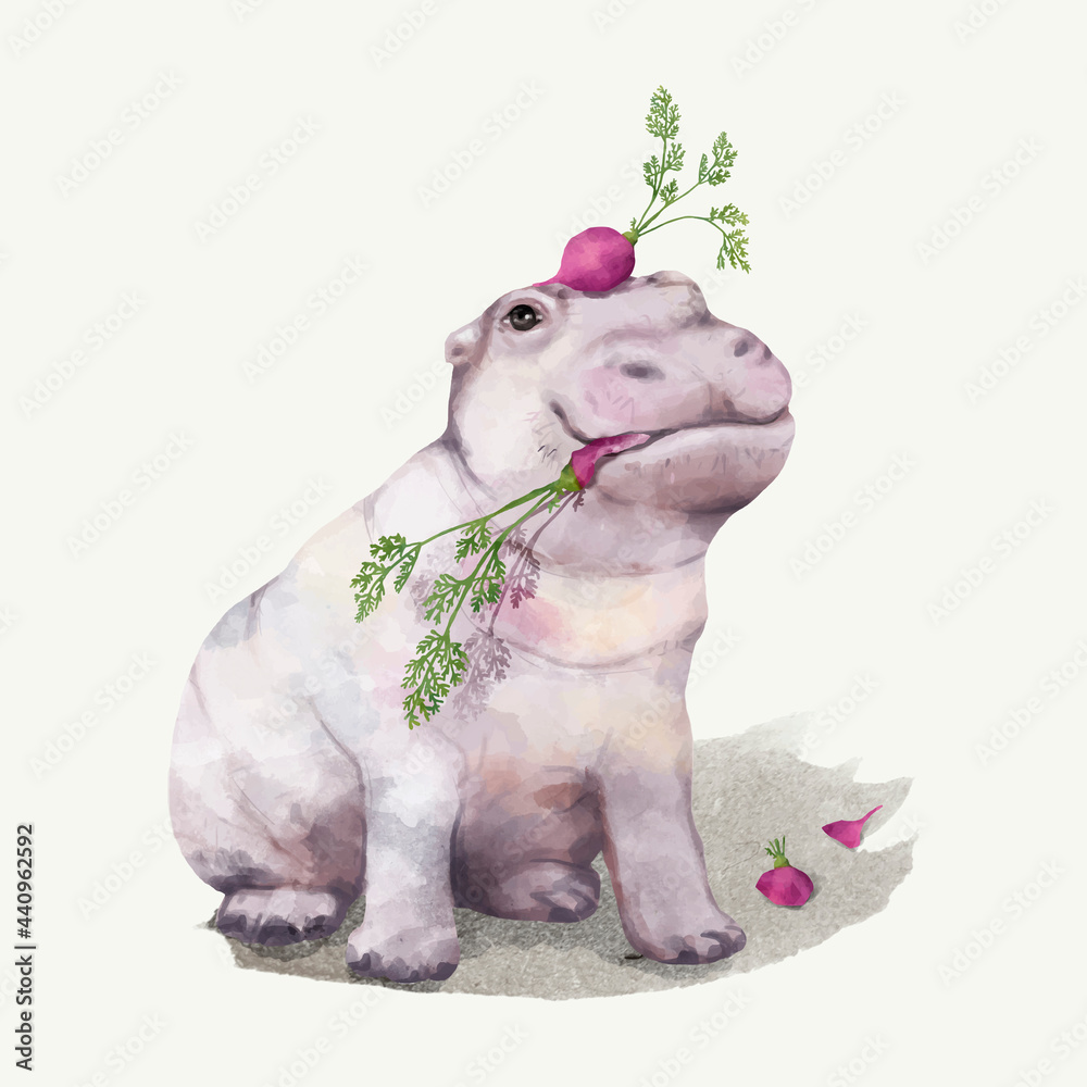 Illustration of a baby hippopotamus