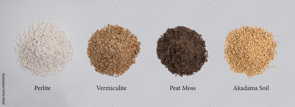 准备盆栽土壤，混合土壤珍珠岩蛭石泥炭苔和阿卡达玛土壤，用于仙人掌和多肉